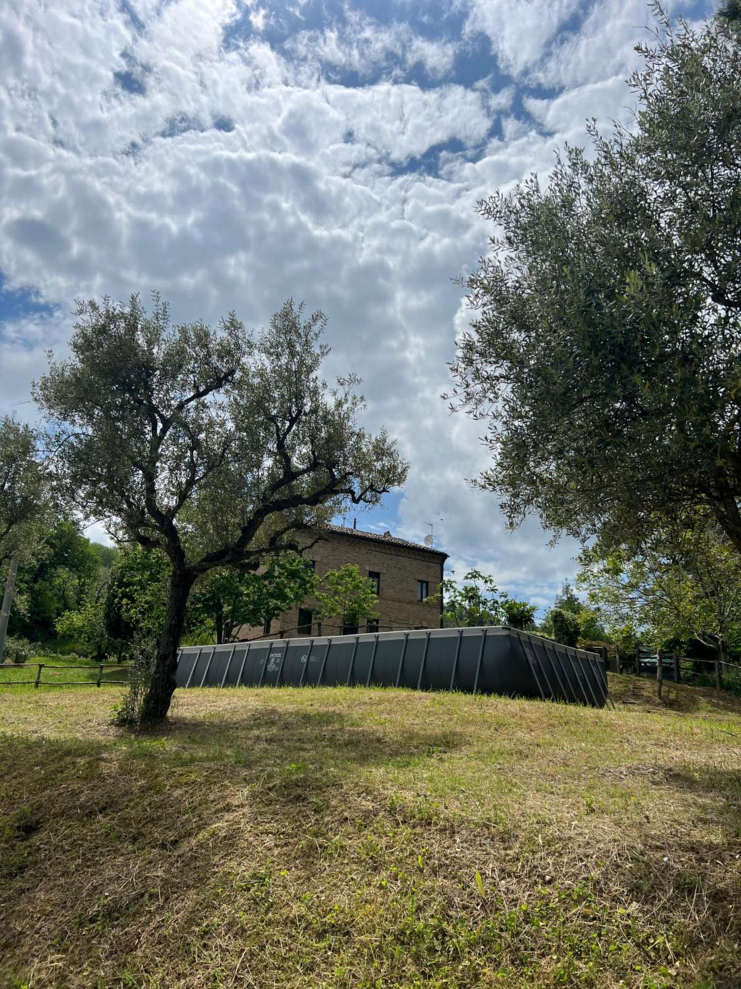 Tenuta Gran Bosco Loro Piceno Zewnętrze zdjęcie