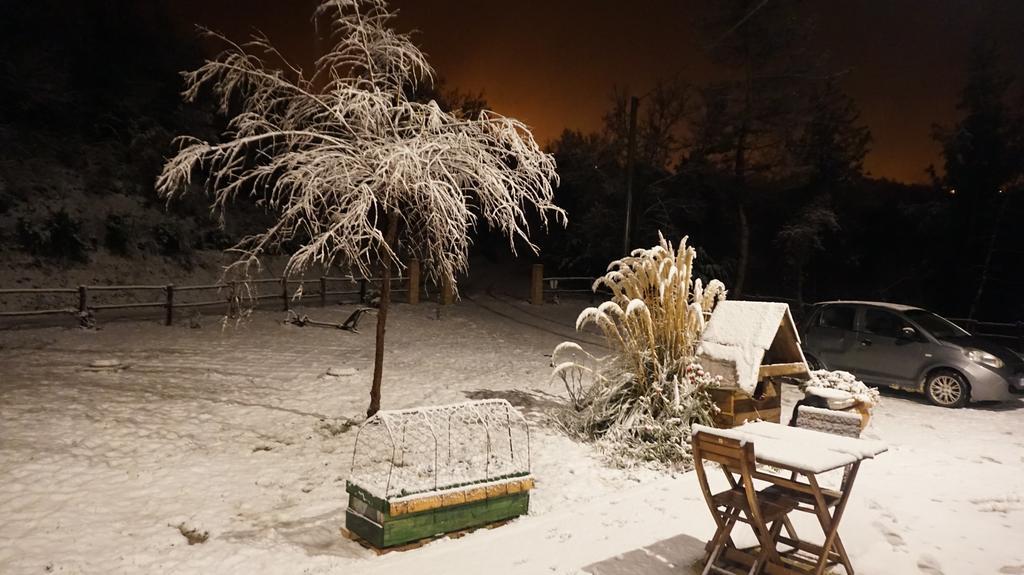 Tenuta Gran Bosco Loro Piceno Zewnętrze zdjęcie