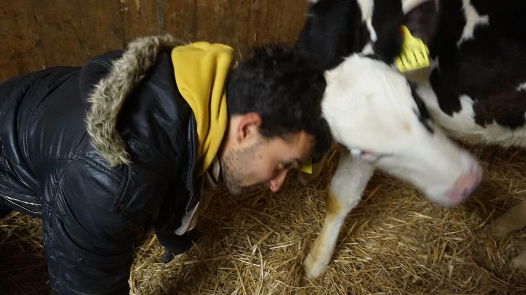 Tenuta Gran Bosco Loro Piceno Zewnętrze zdjęcie