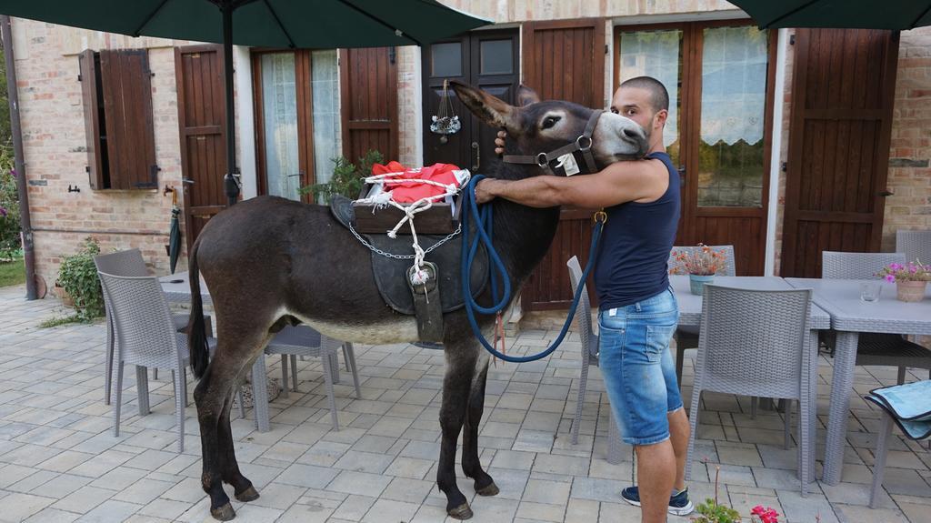 Tenuta Gran Bosco Loro Piceno Zewnętrze zdjęcie