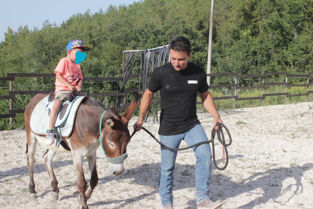 Tenuta Gran Bosco Loro Piceno Zewnętrze zdjęcie