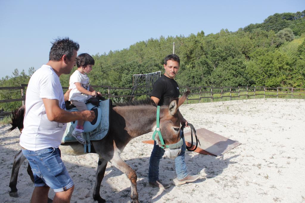 Tenuta Gran Bosco Loro Piceno Zewnętrze zdjęcie