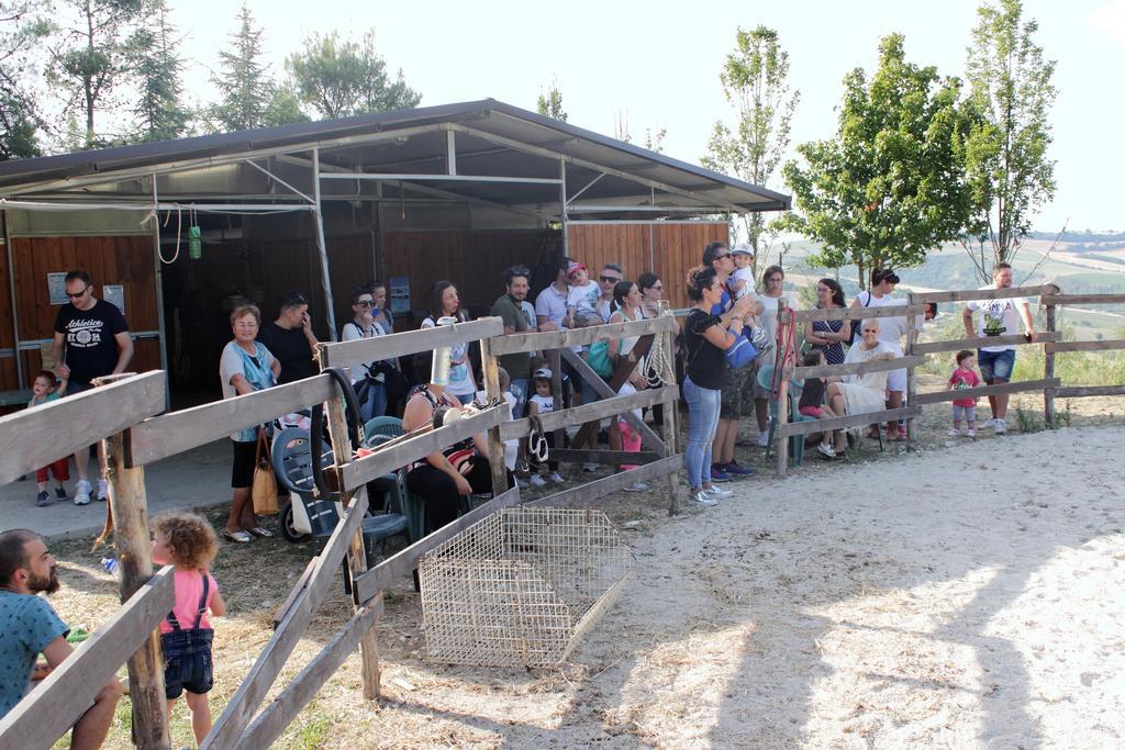 Tenuta Gran Bosco Loro Piceno Zewnętrze zdjęcie
