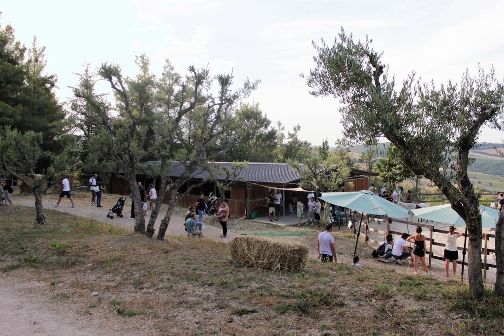 Tenuta Gran Bosco Loro Piceno Zewnętrze zdjęcie