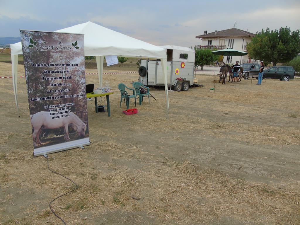 Tenuta Gran Bosco Loro Piceno Zewnętrze zdjęcie