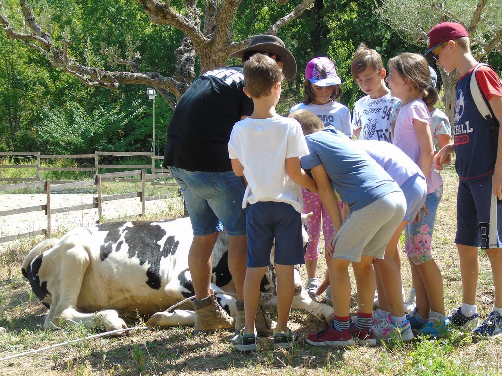 Tenuta Gran Bosco Loro Piceno Zewnętrze zdjęcie