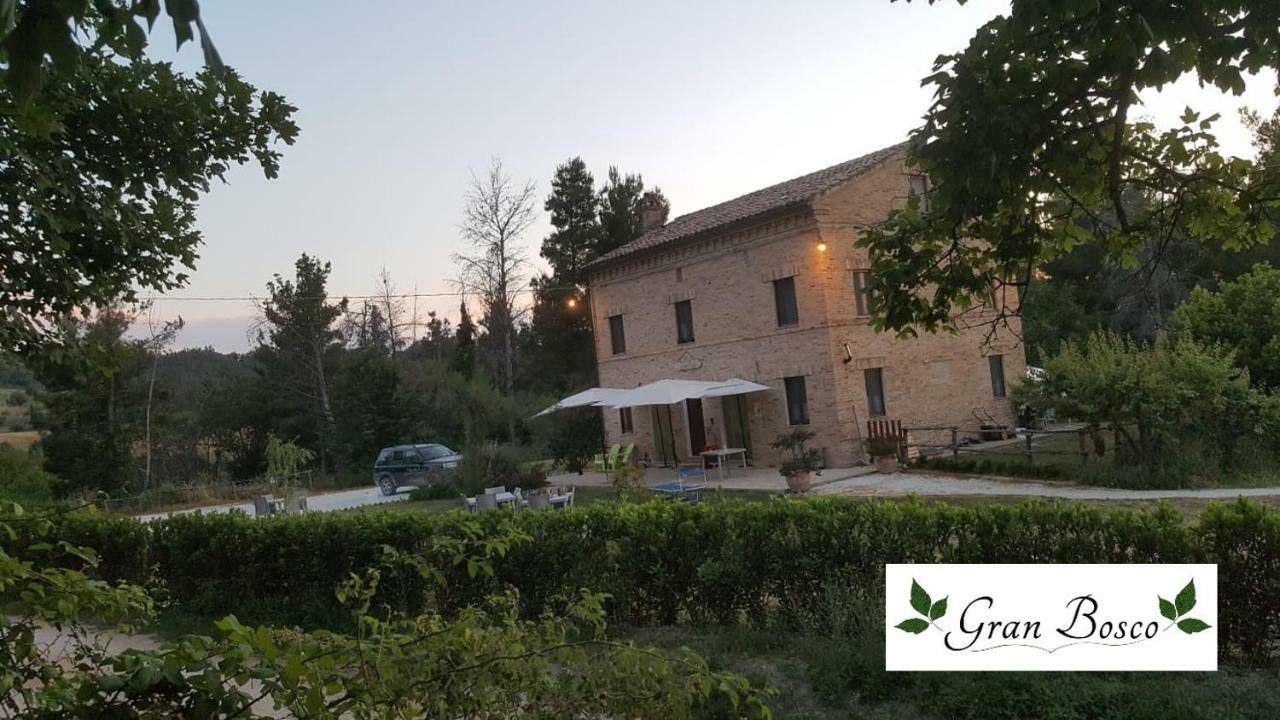 Tenuta Gran Bosco Loro Piceno Zewnętrze zdjęcie