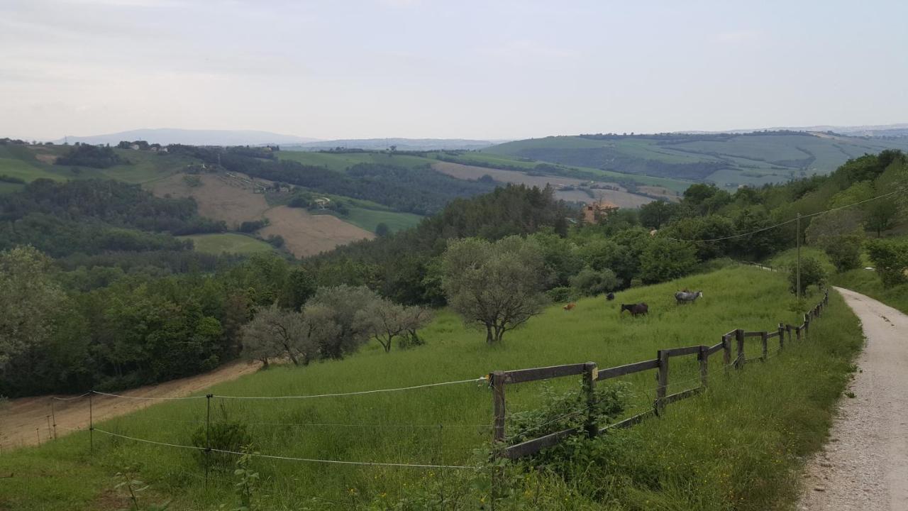 Tenuta Gran Bosco Loro Piceno Zewnętrze zdjęcie