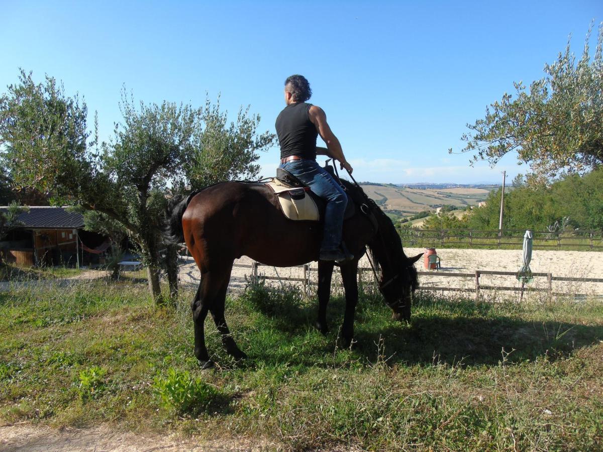 Tenuta Gran Bosco Loro Piceno Zewnętrze zdjęcie